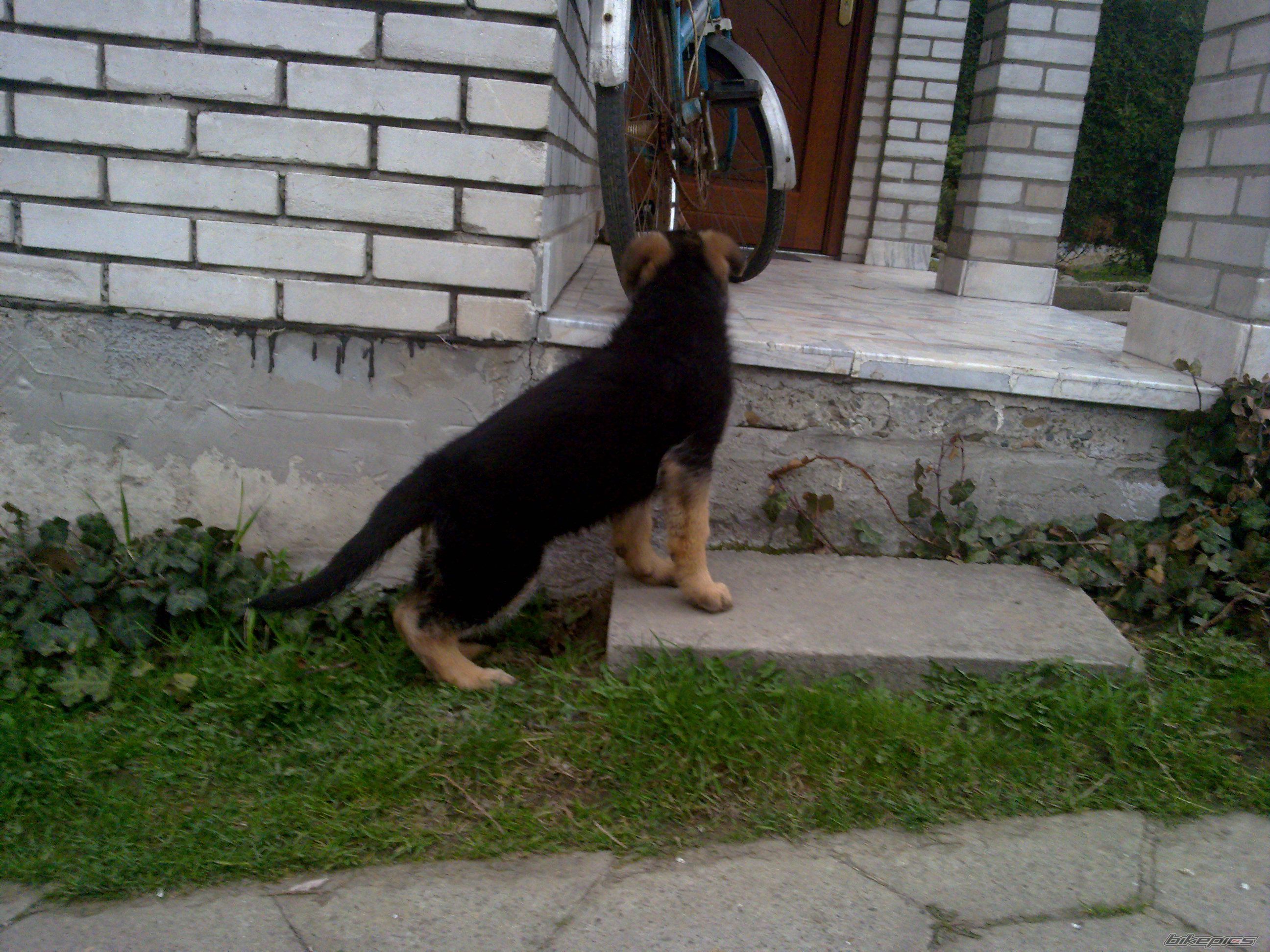 Photo 2183372