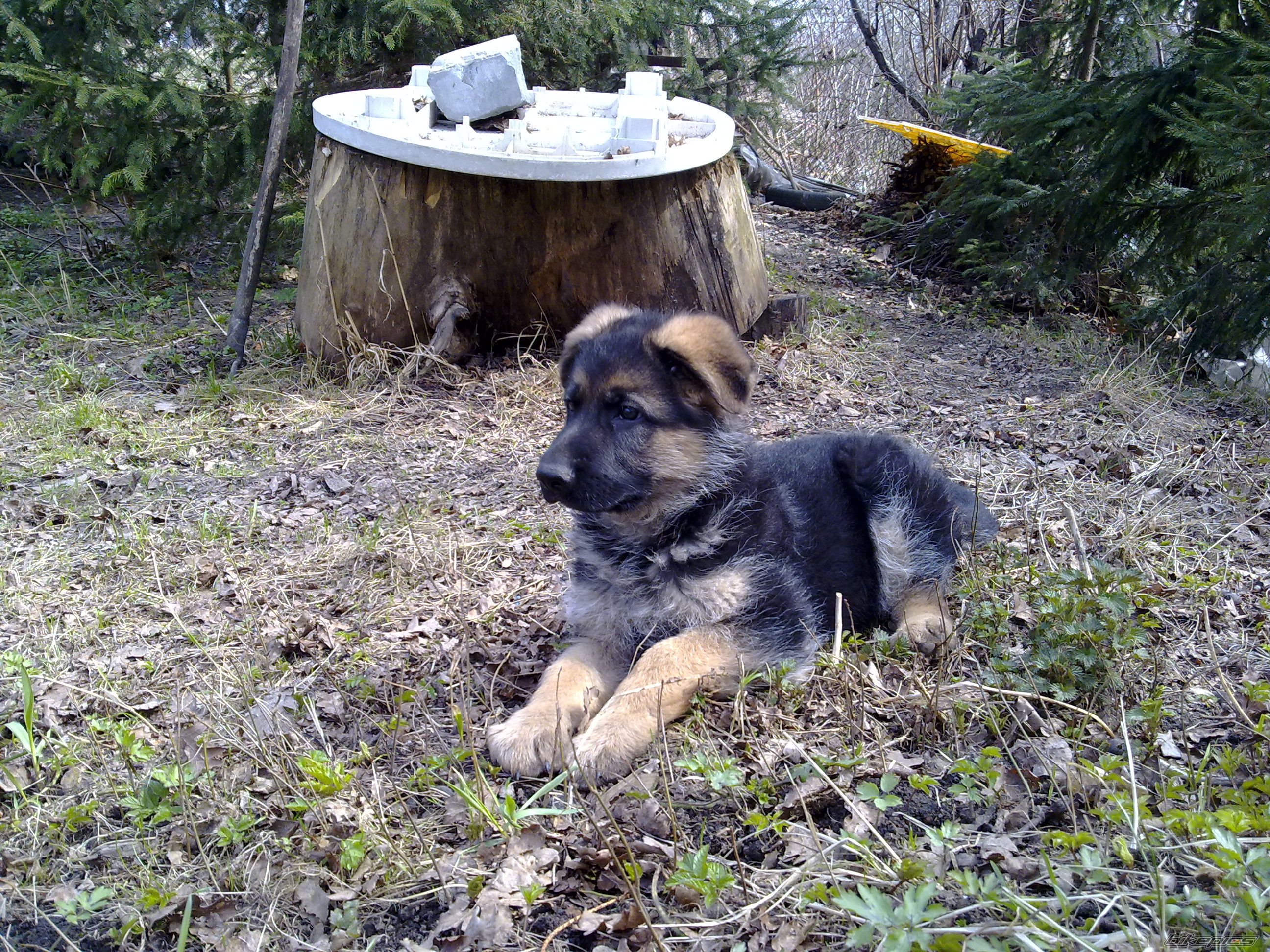 Photo 2183386
