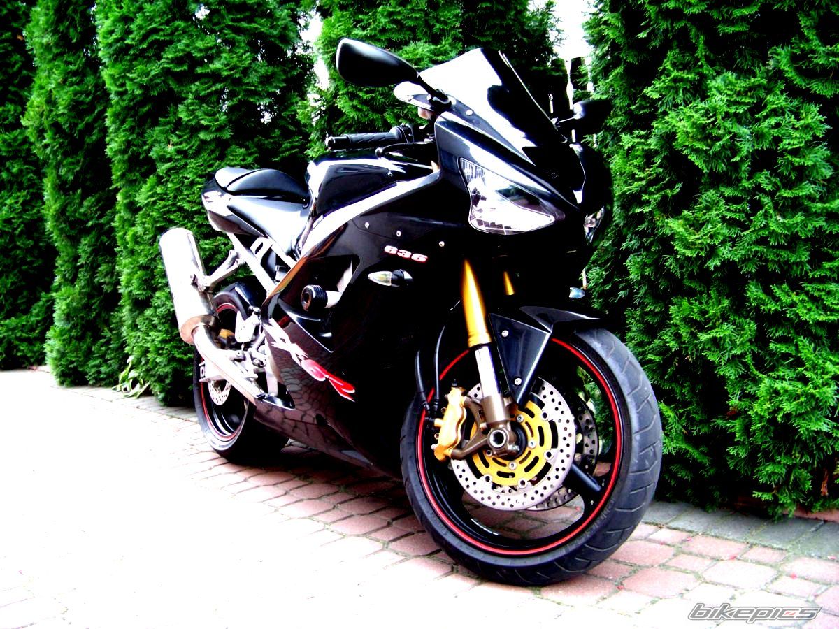 Photo 2183396