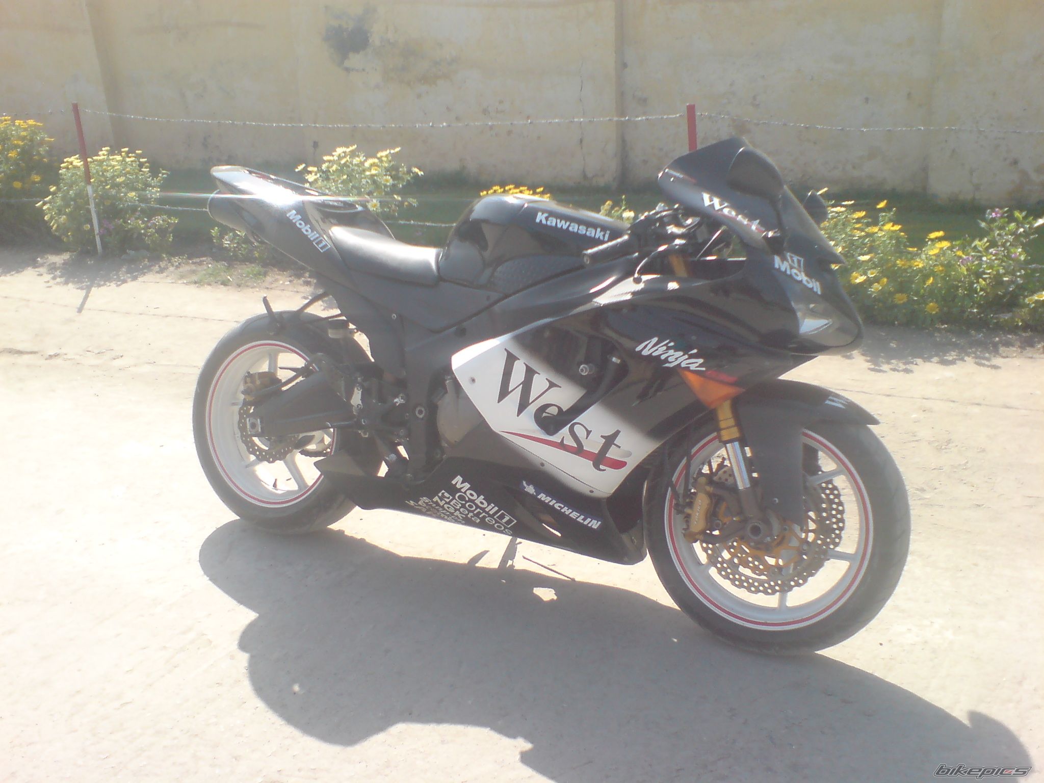 Photo 2183468