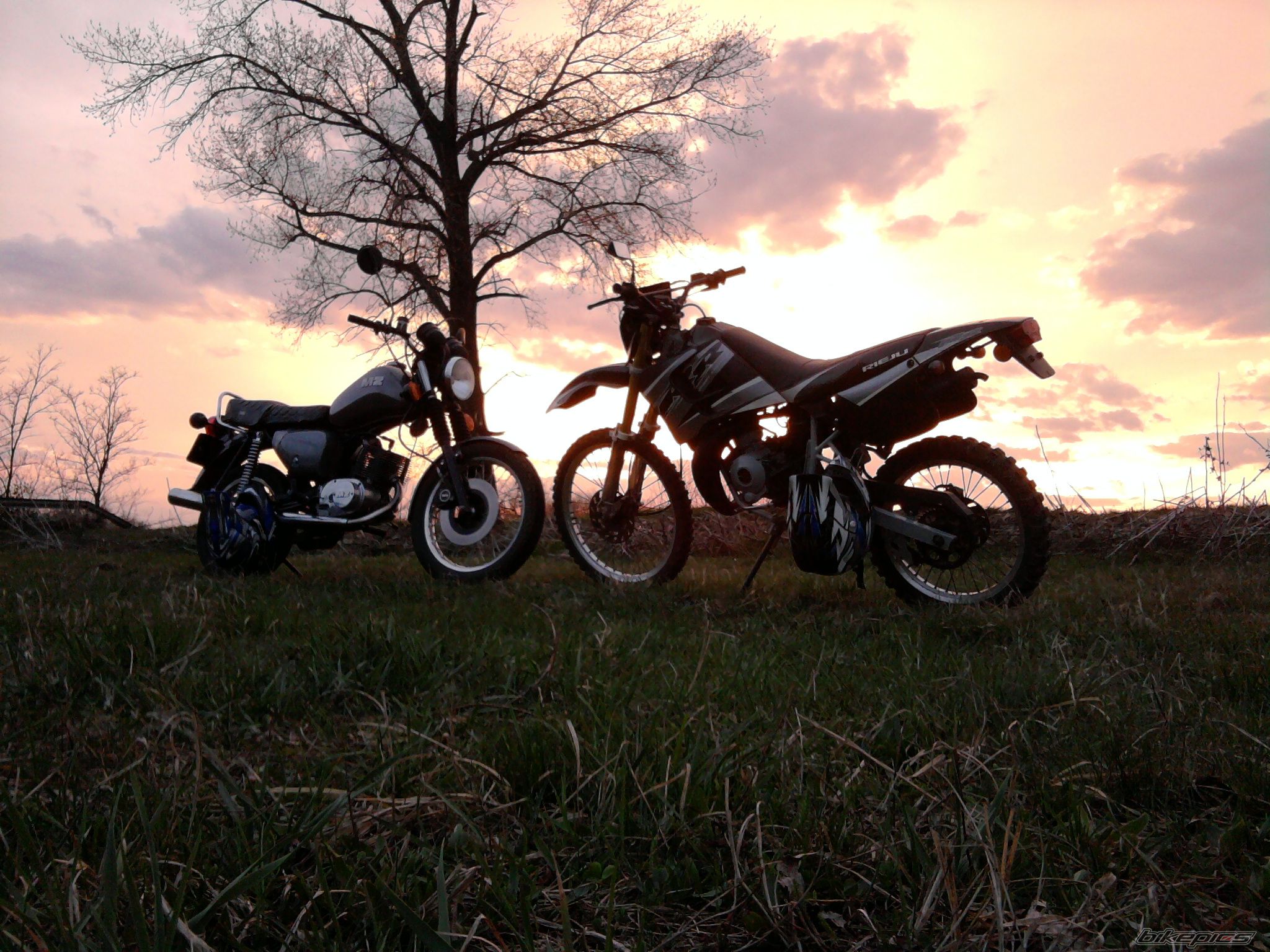 Photo 2183515