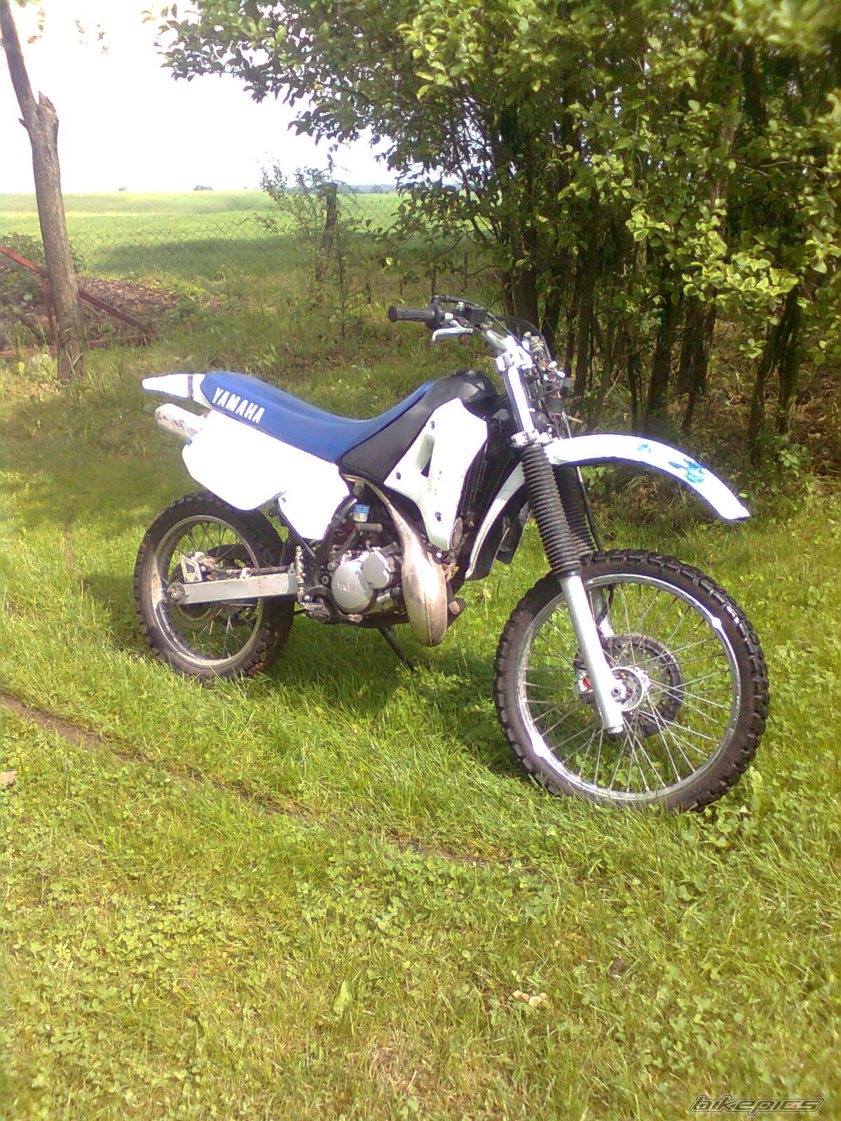 Photo 2183593
