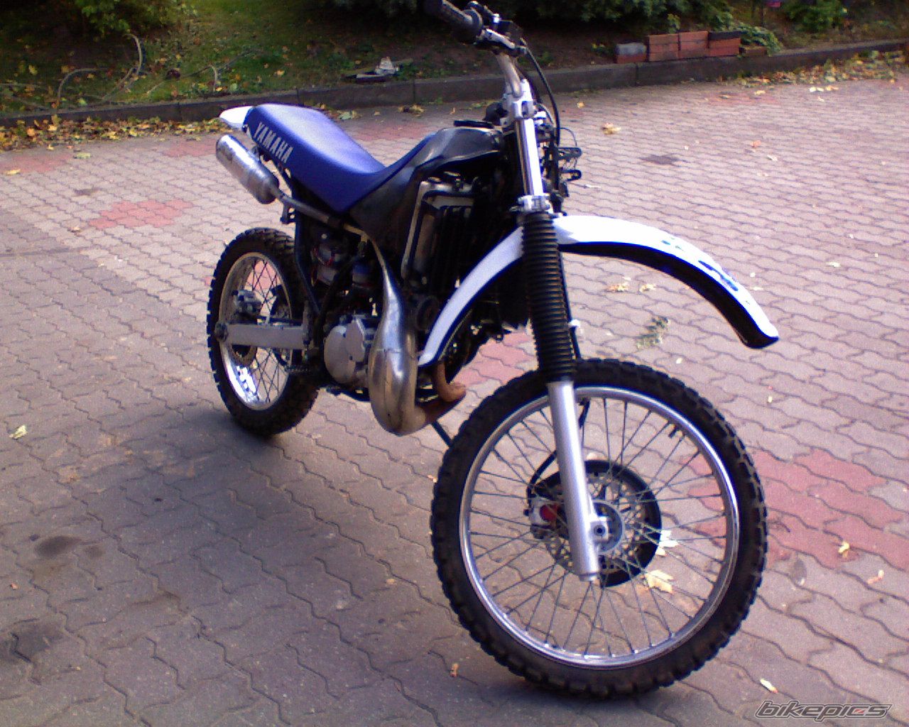 Photo 2183595