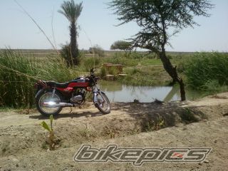 Bike Photo 2183727