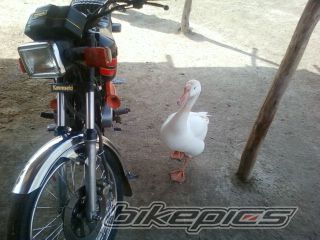 Bike Photo 2183750