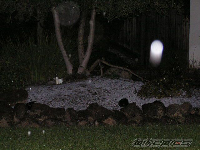 Photo 2183912