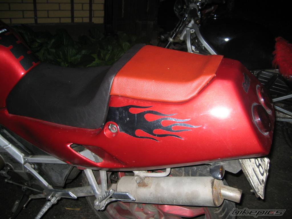 Photo 218398