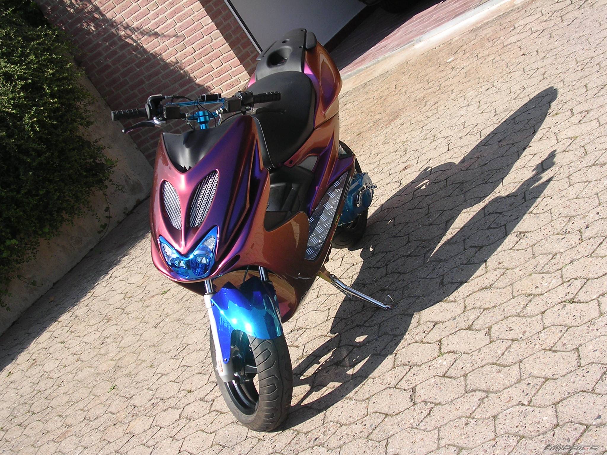 Photo 218399