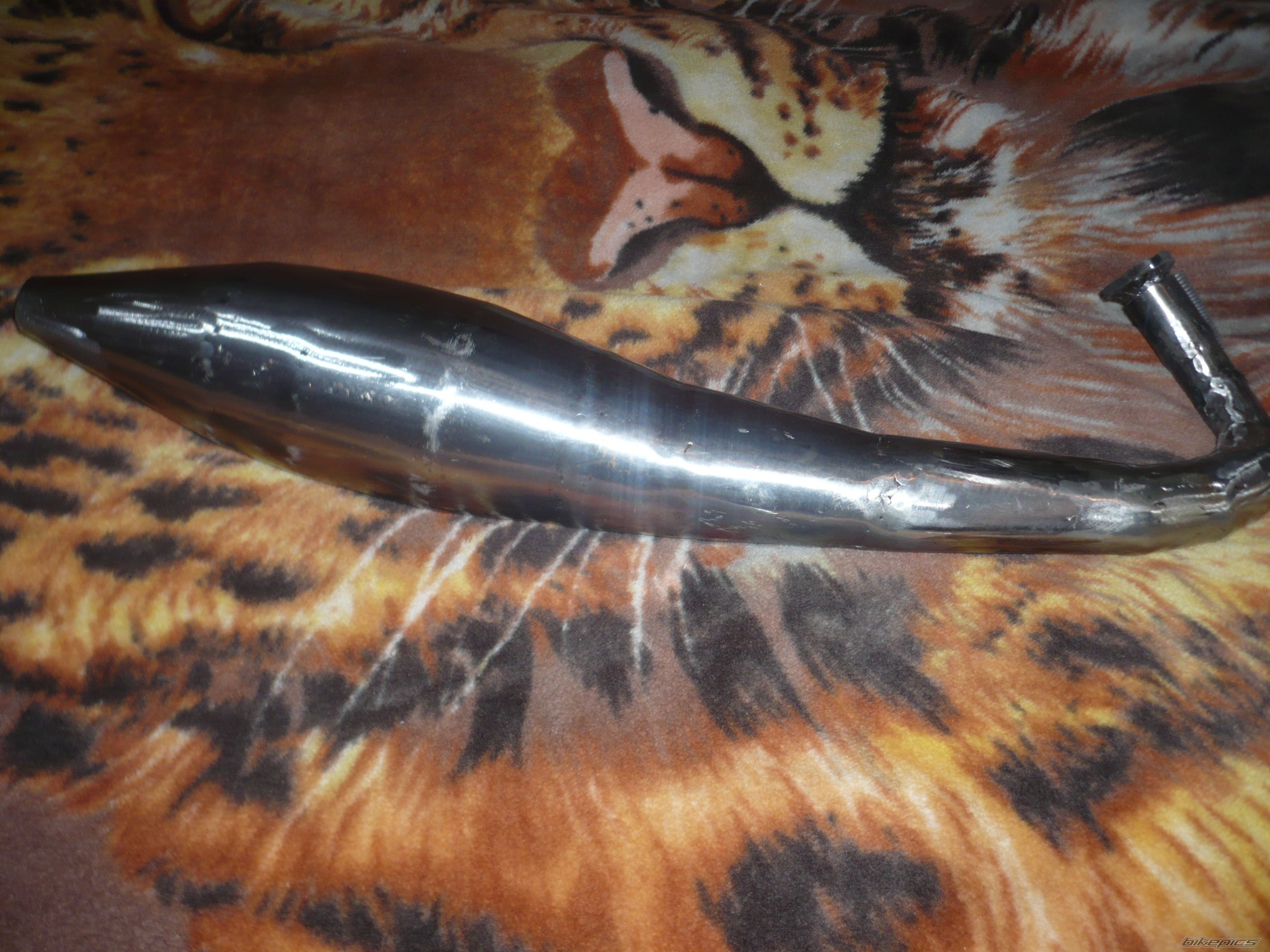 Photo 2184159
