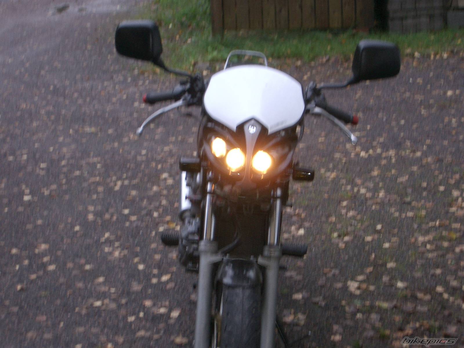 Photo 218424