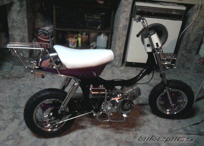 Photo 2184282