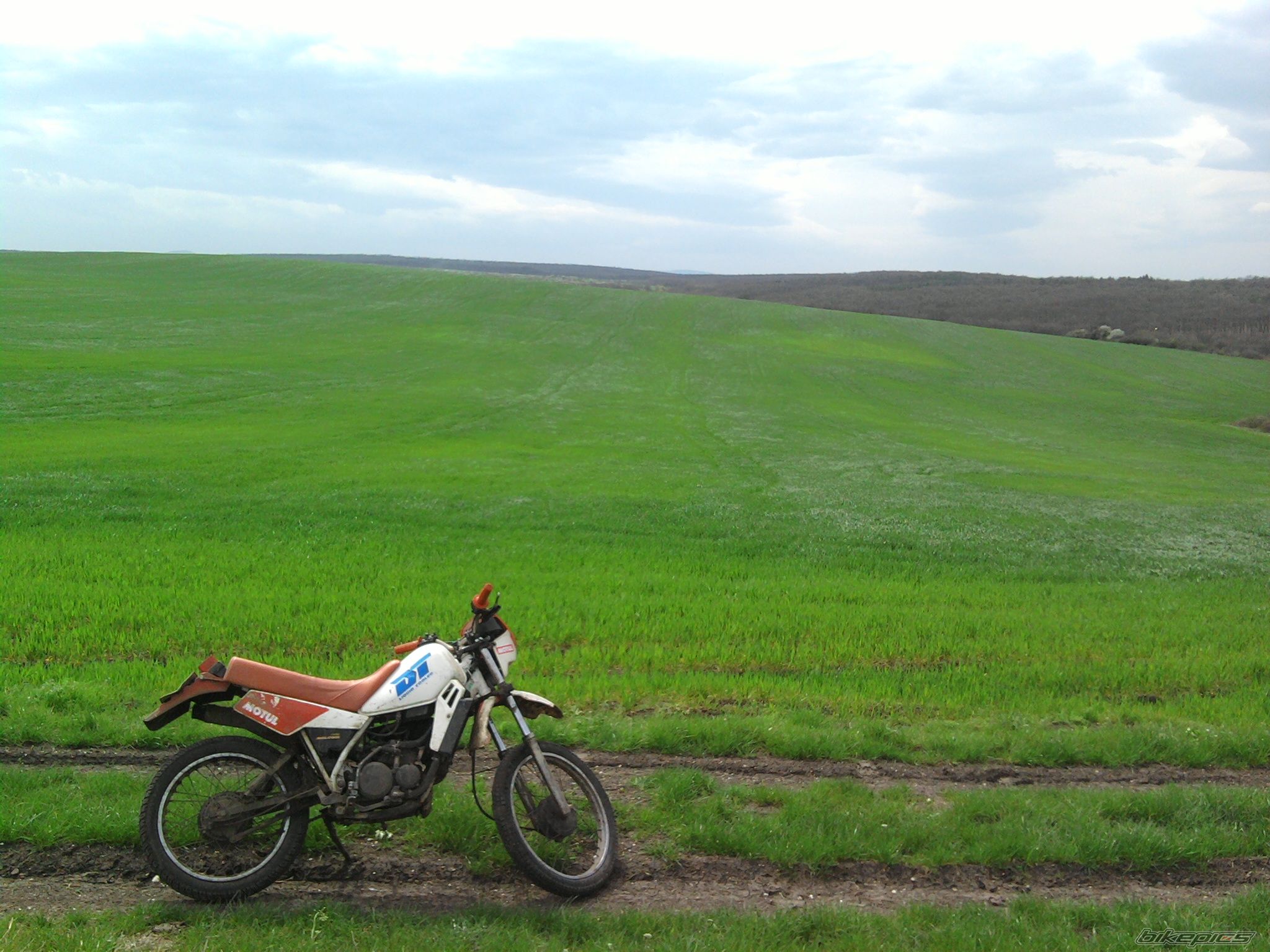 Photo 2184284