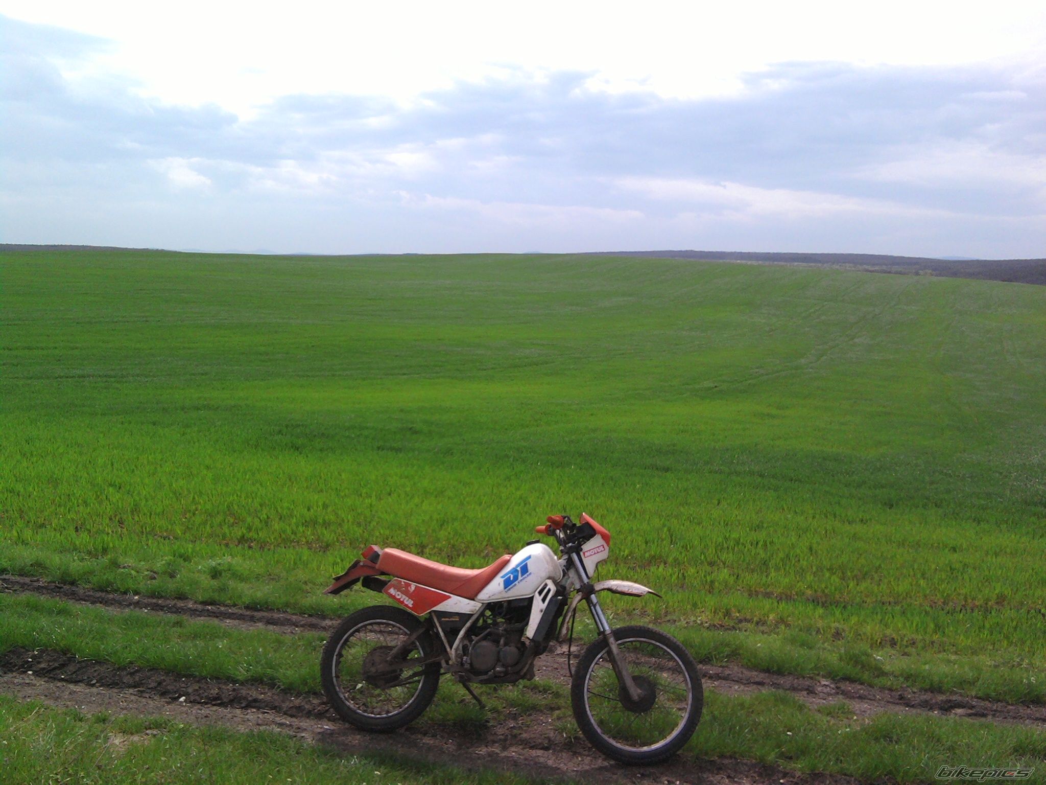 Photo 2184285