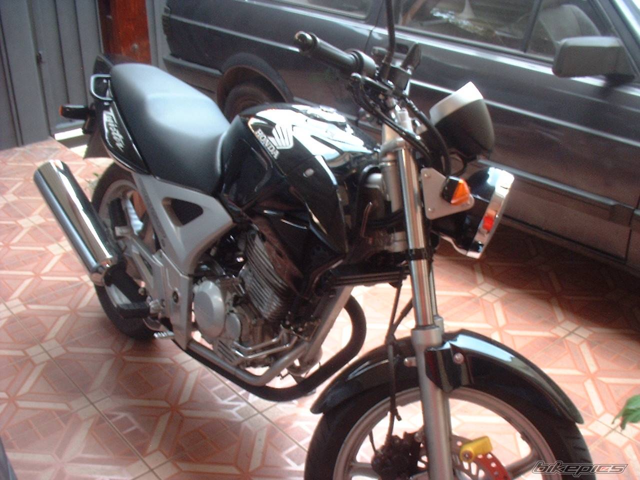 Photo 218433