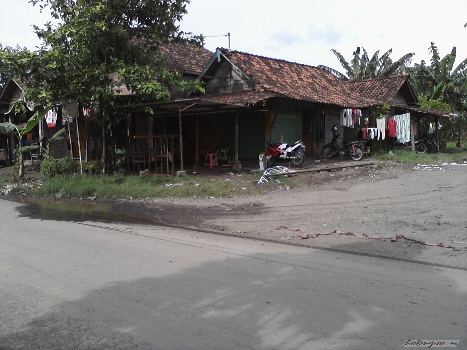 Photo 2184517