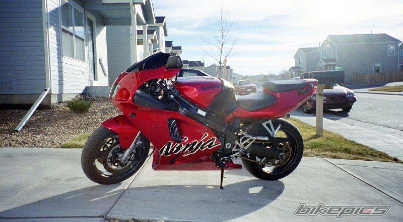 Photo 218464