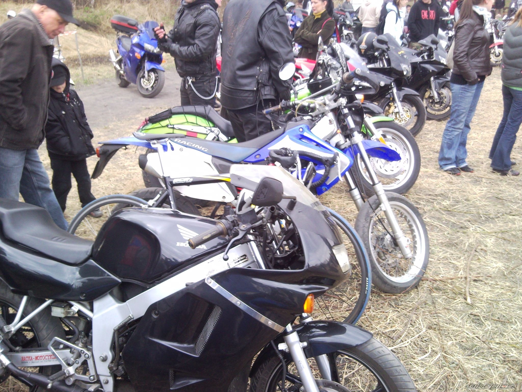 Photo 2184673
