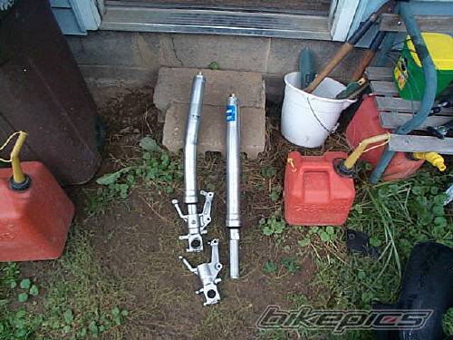 Photo 218484