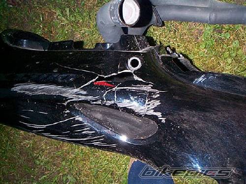 Photo 218486