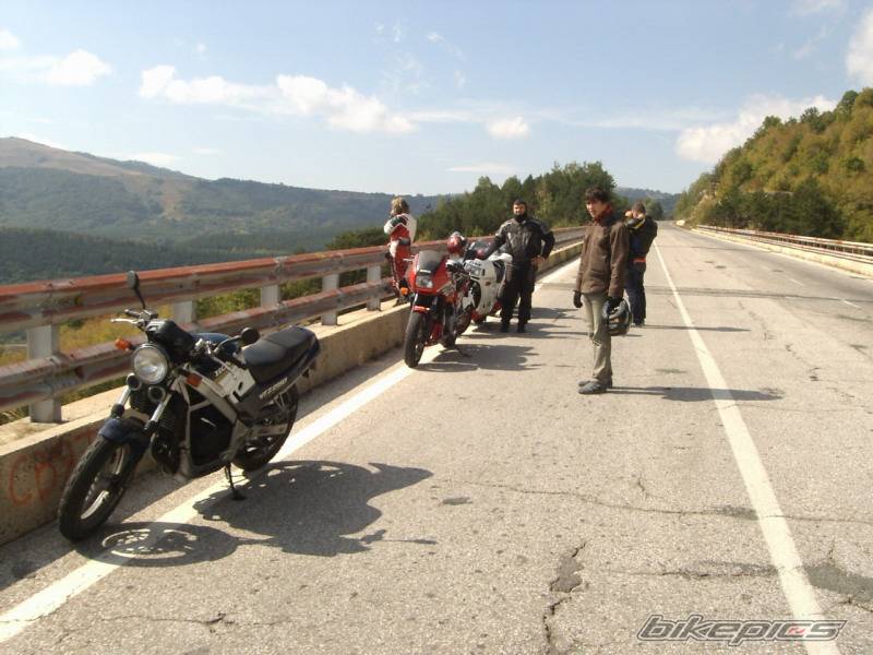 Photo 218492