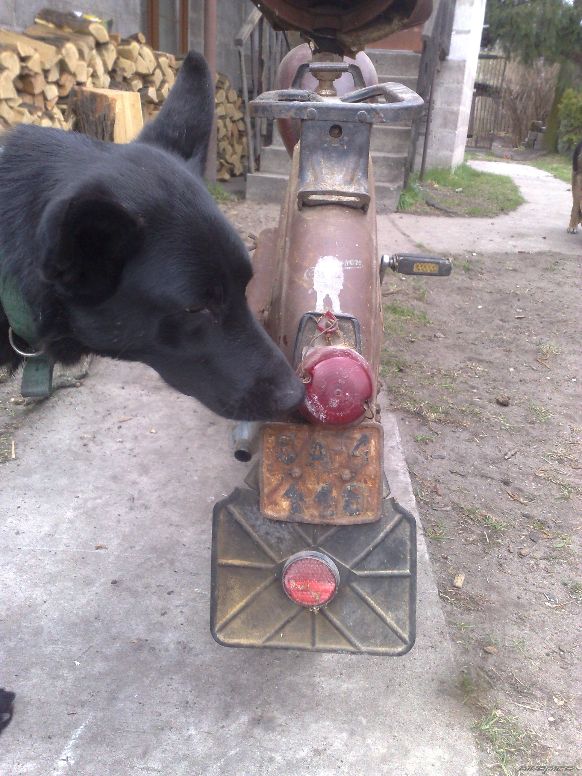 Photo 2185098