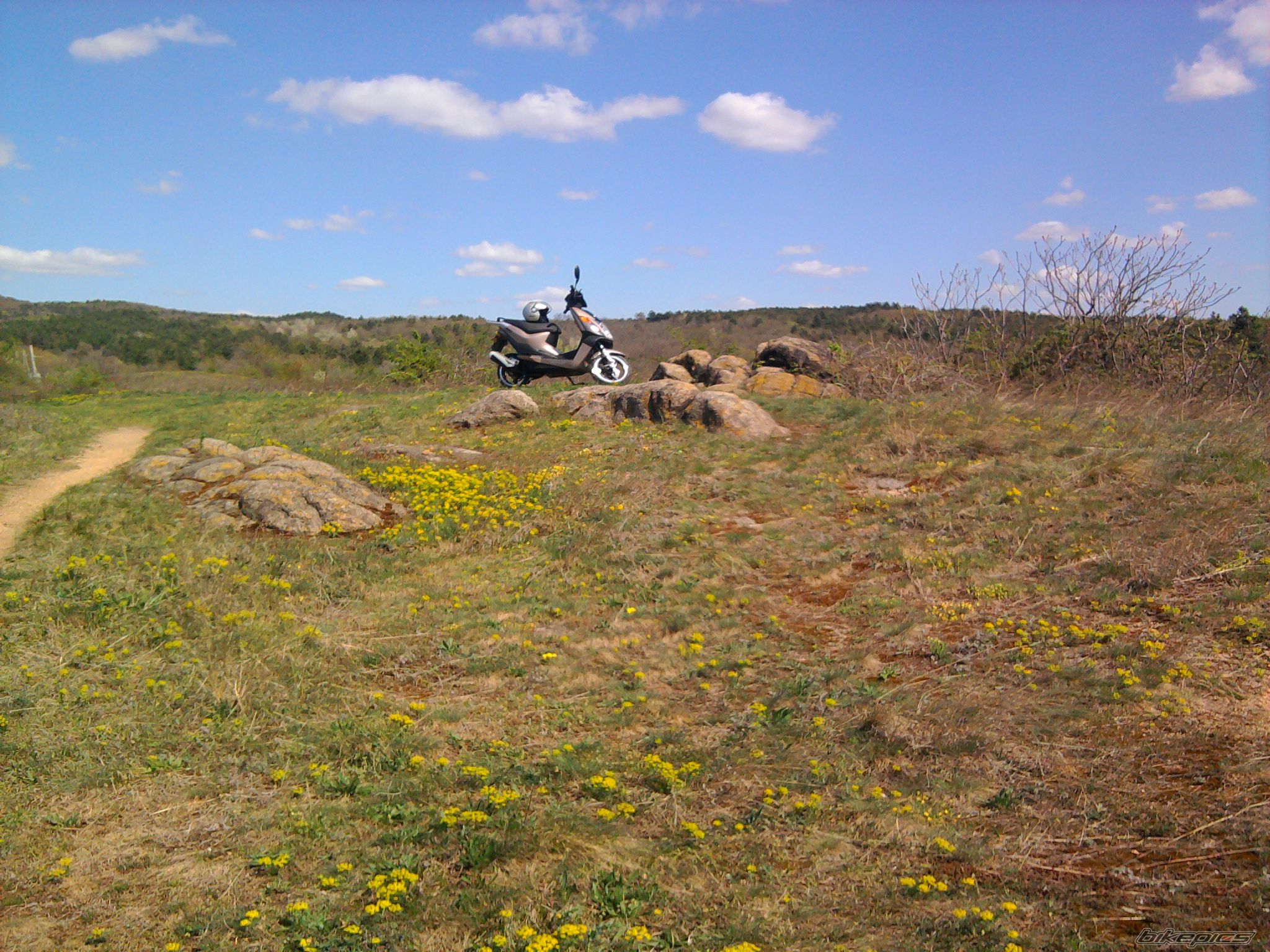 Photo 2185269