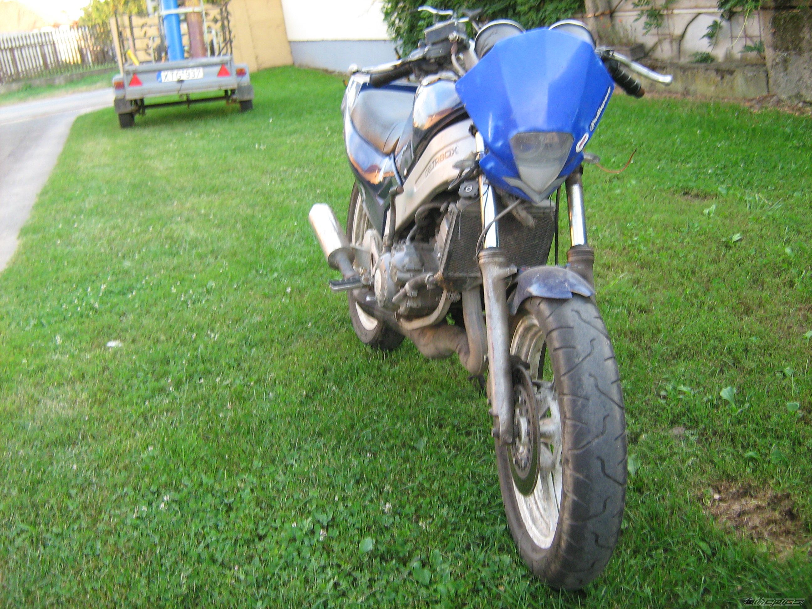 Photo 2185362