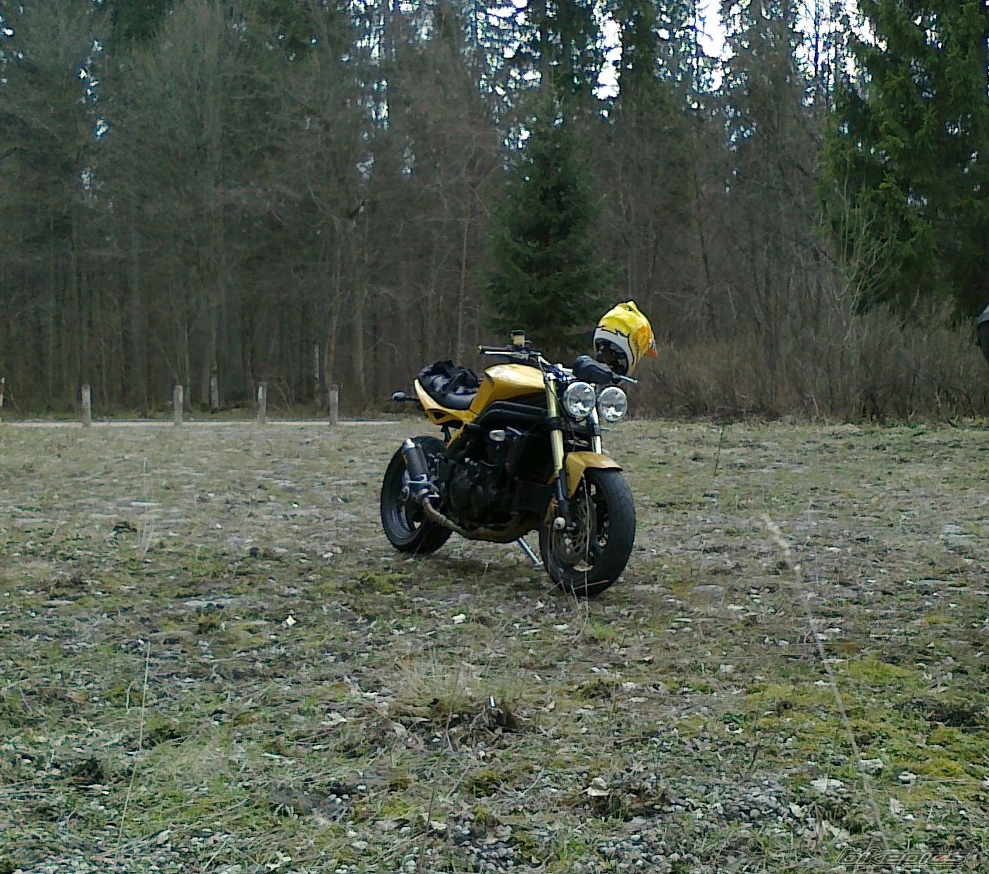 Photo 2185725