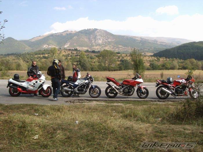 Photo 218584