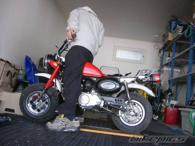 Photo 218601