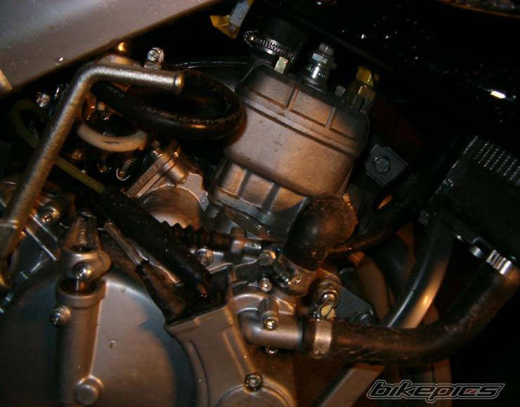 Photo 218605