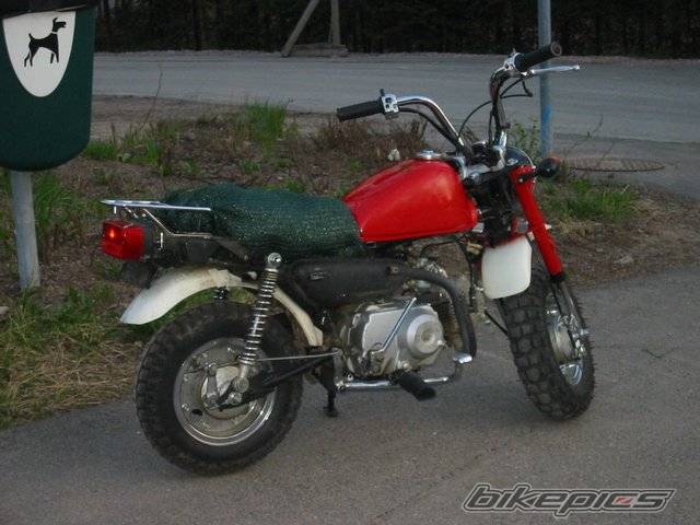 Photo 218607
