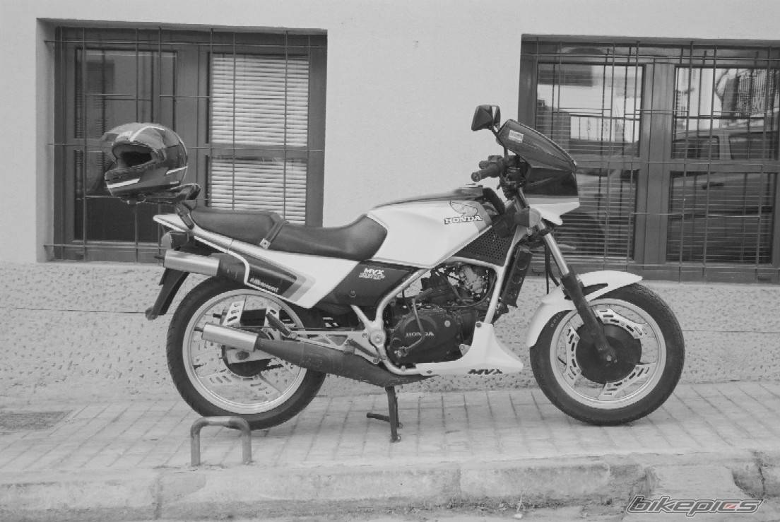 Photo 218611