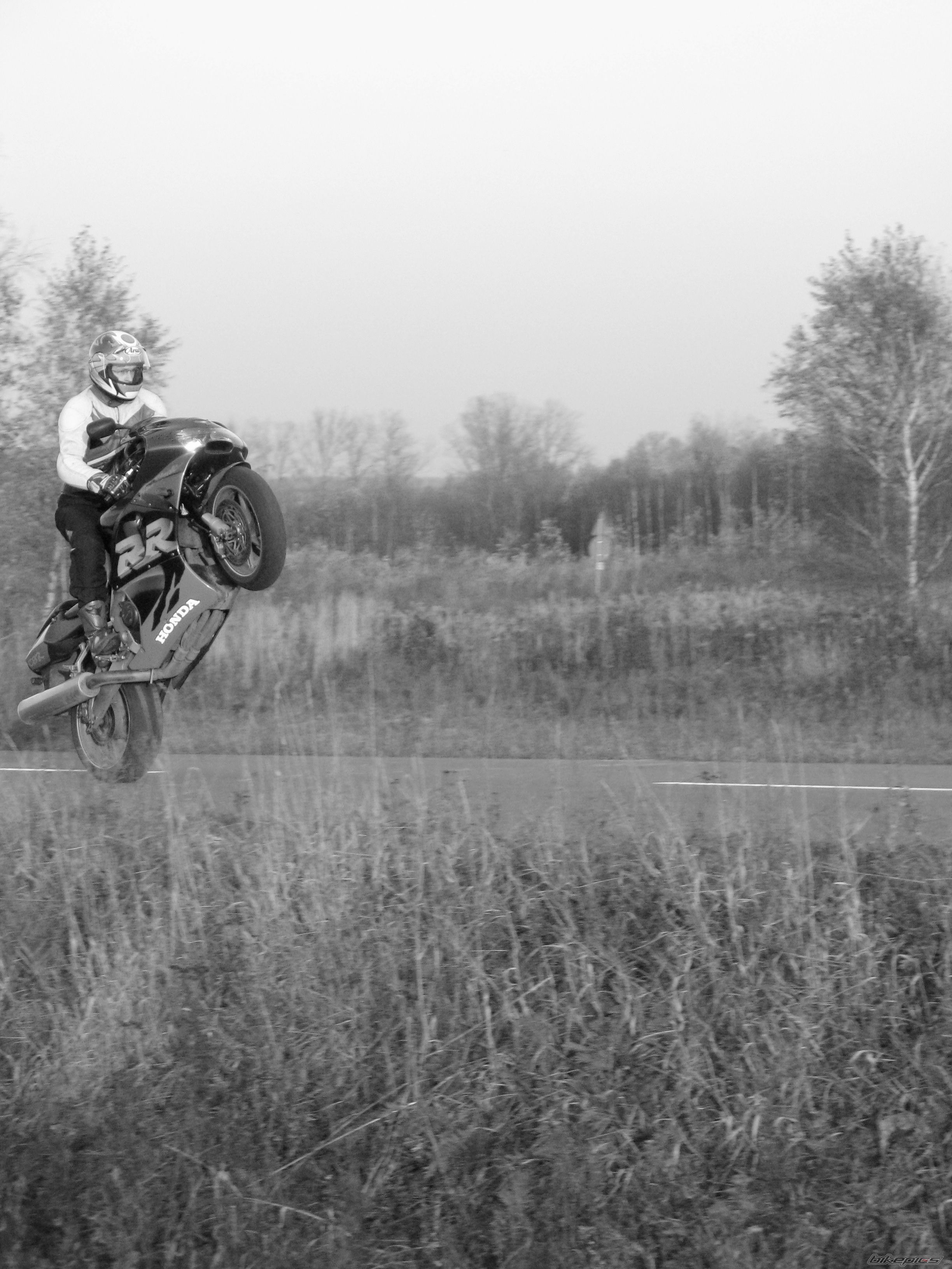 Photo 2186263