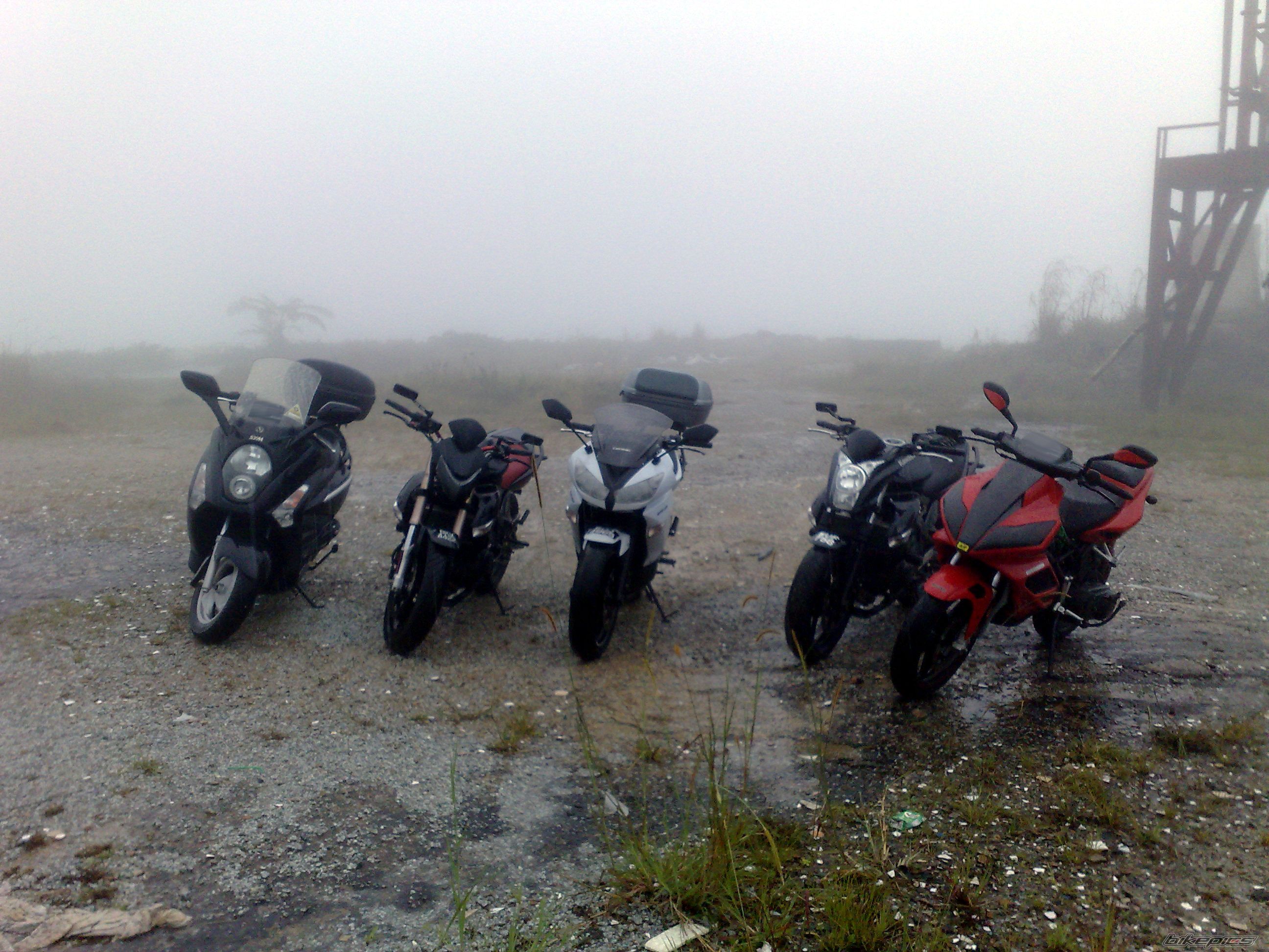 Photo 2186442