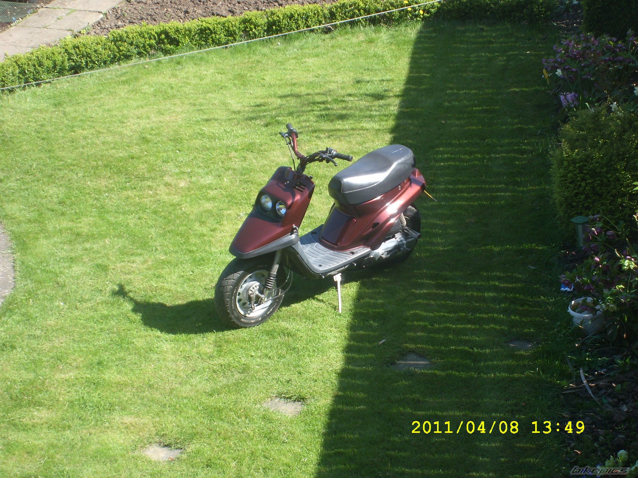 Photo 2186458