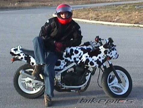 Photo 21865