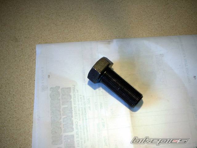 Photo 218650