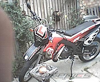 Photo 218667