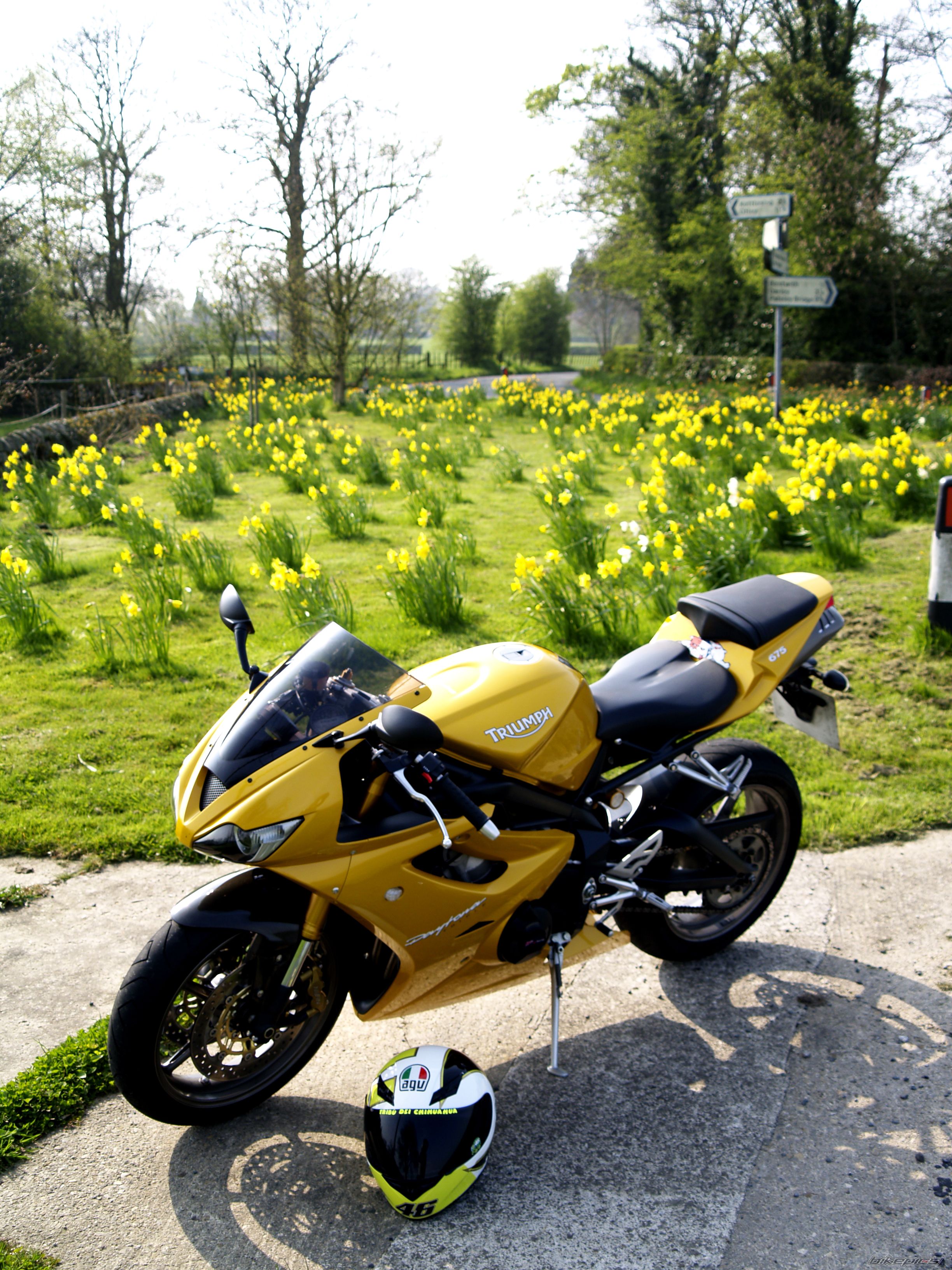 Bike Photo 2186719