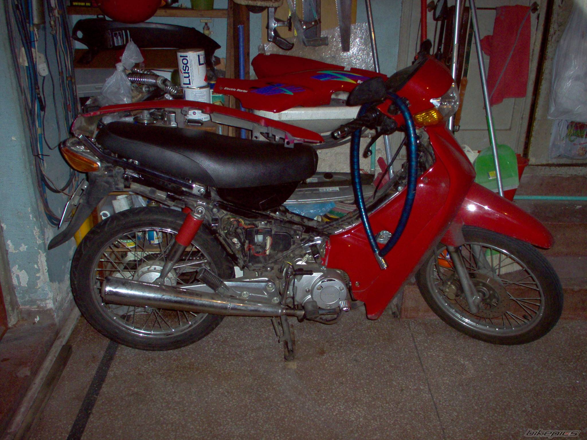 Photo 218675