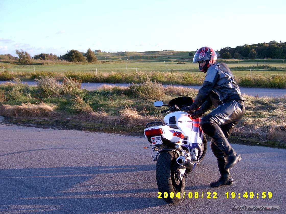 Photo 218681