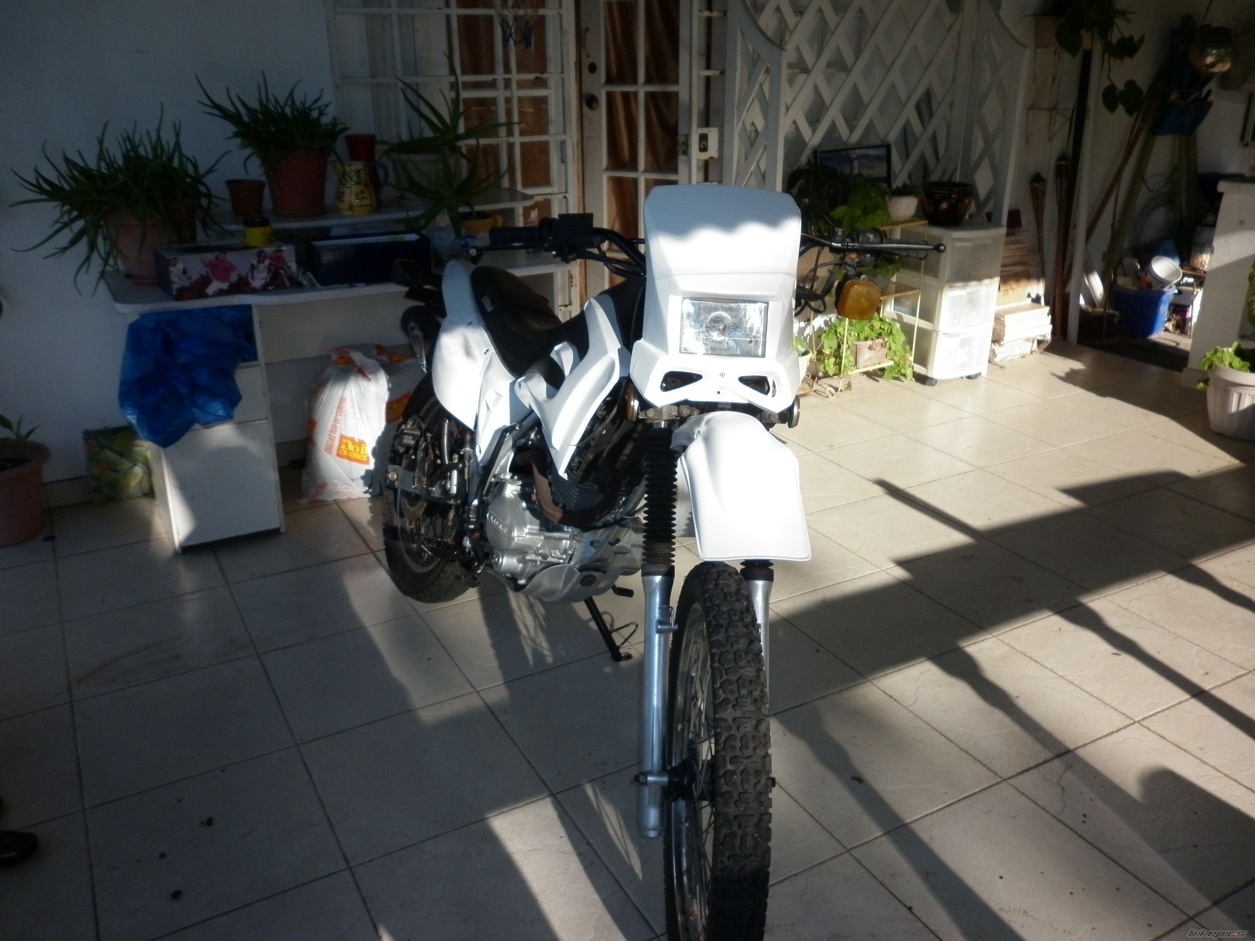 Photo 2186810
