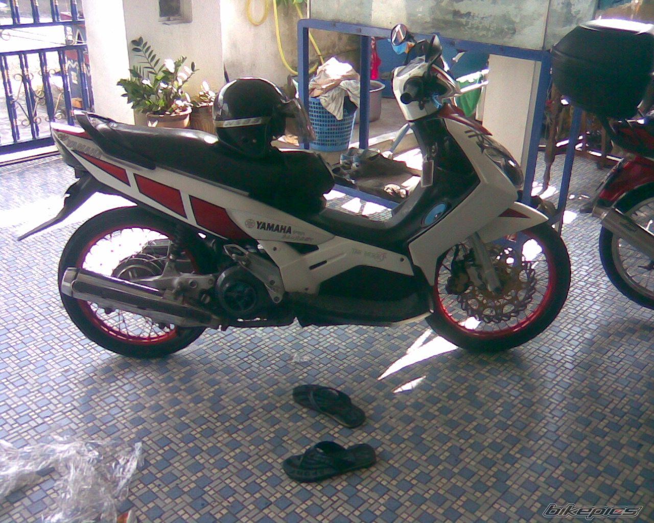 Photo 2187255