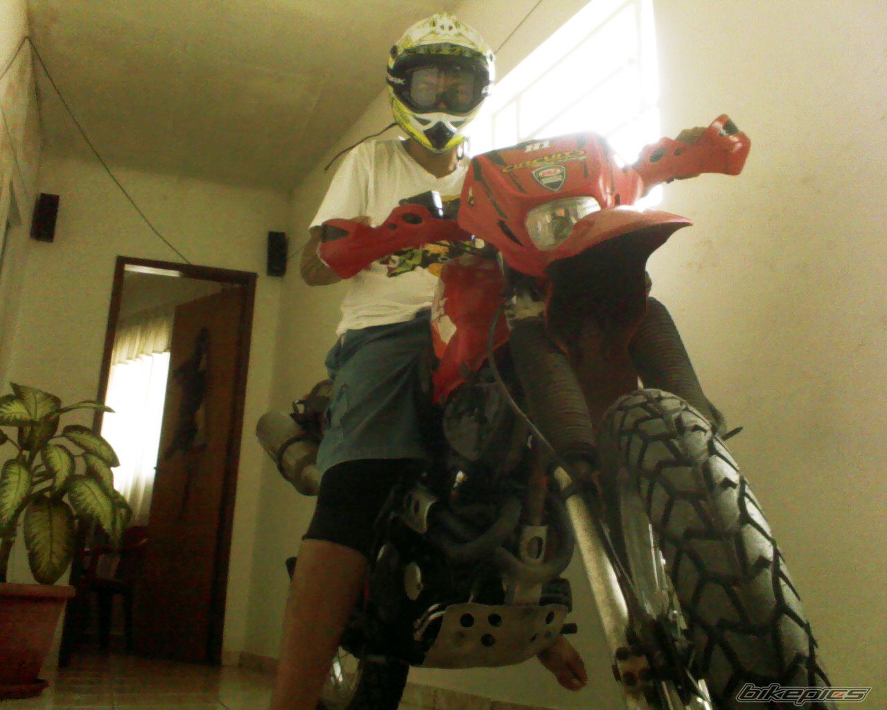 Bike Photo 2187273