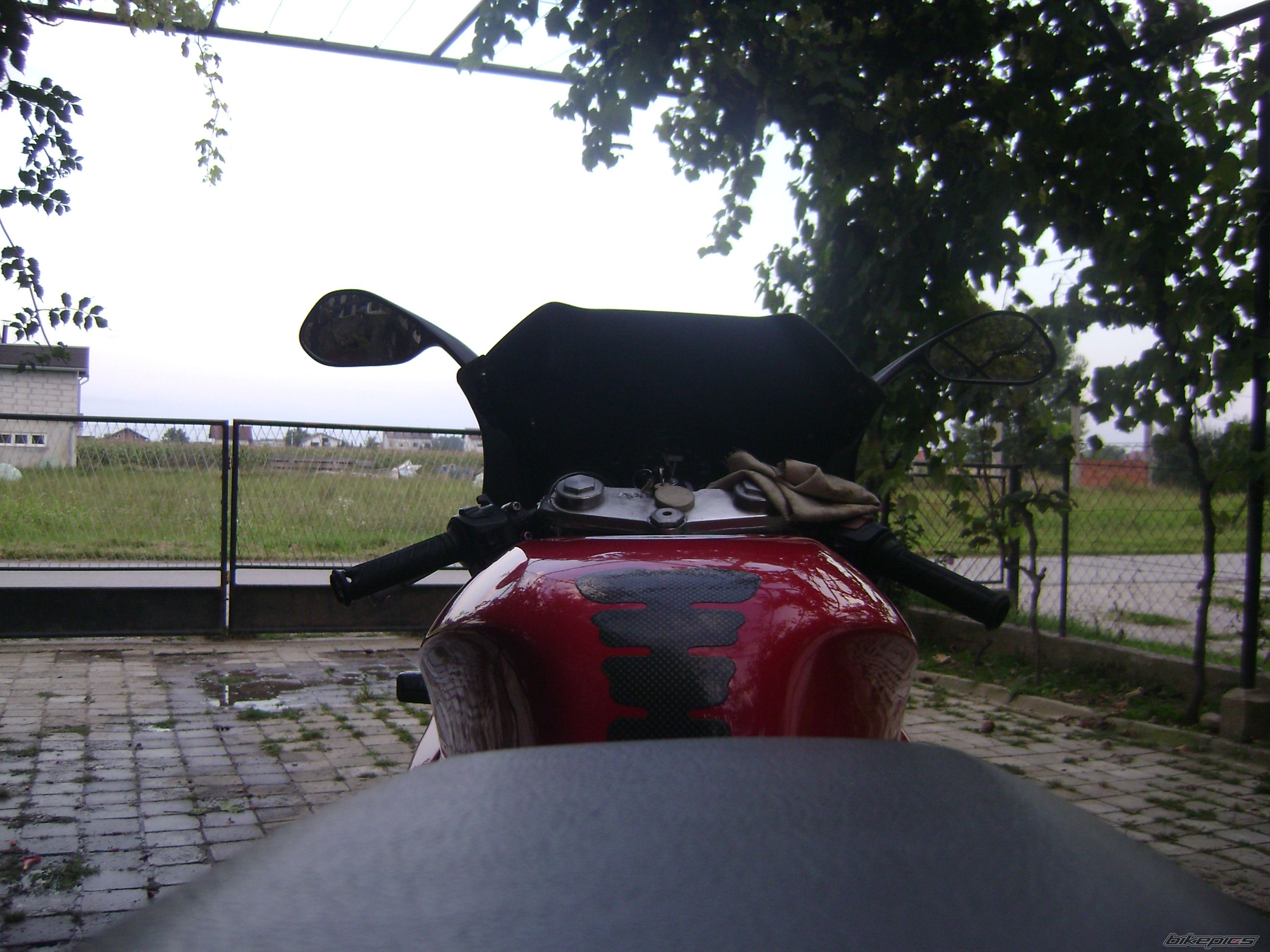 Photo 2187295