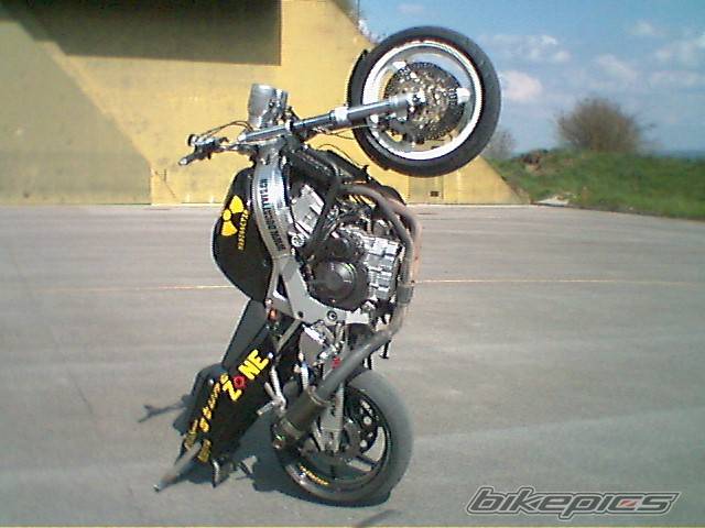 Photo 218740