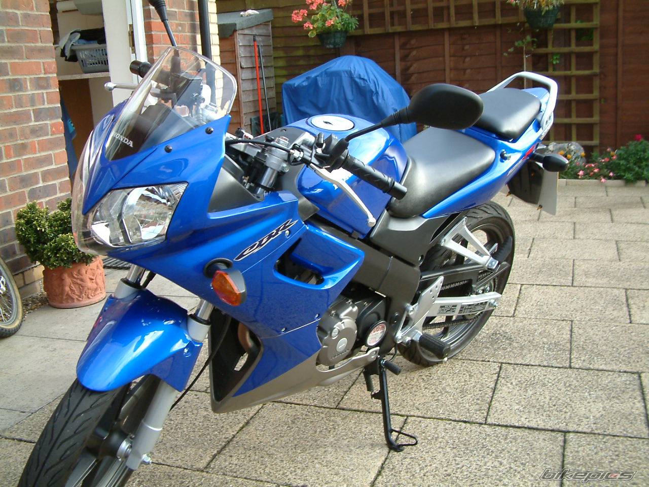 Photo 218747