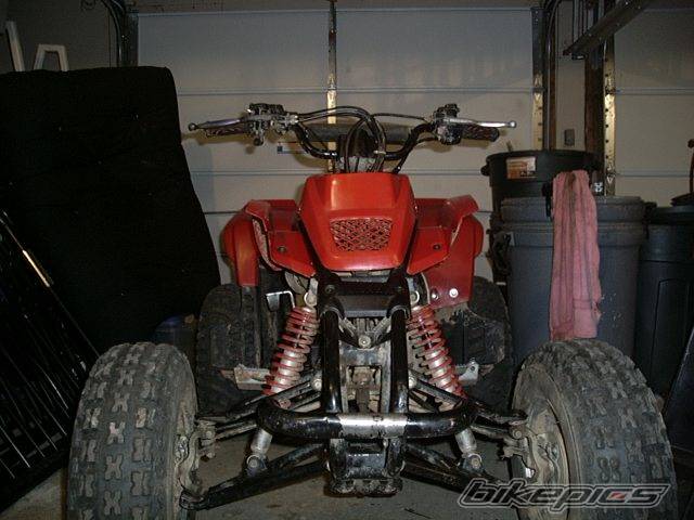 Photo 218780