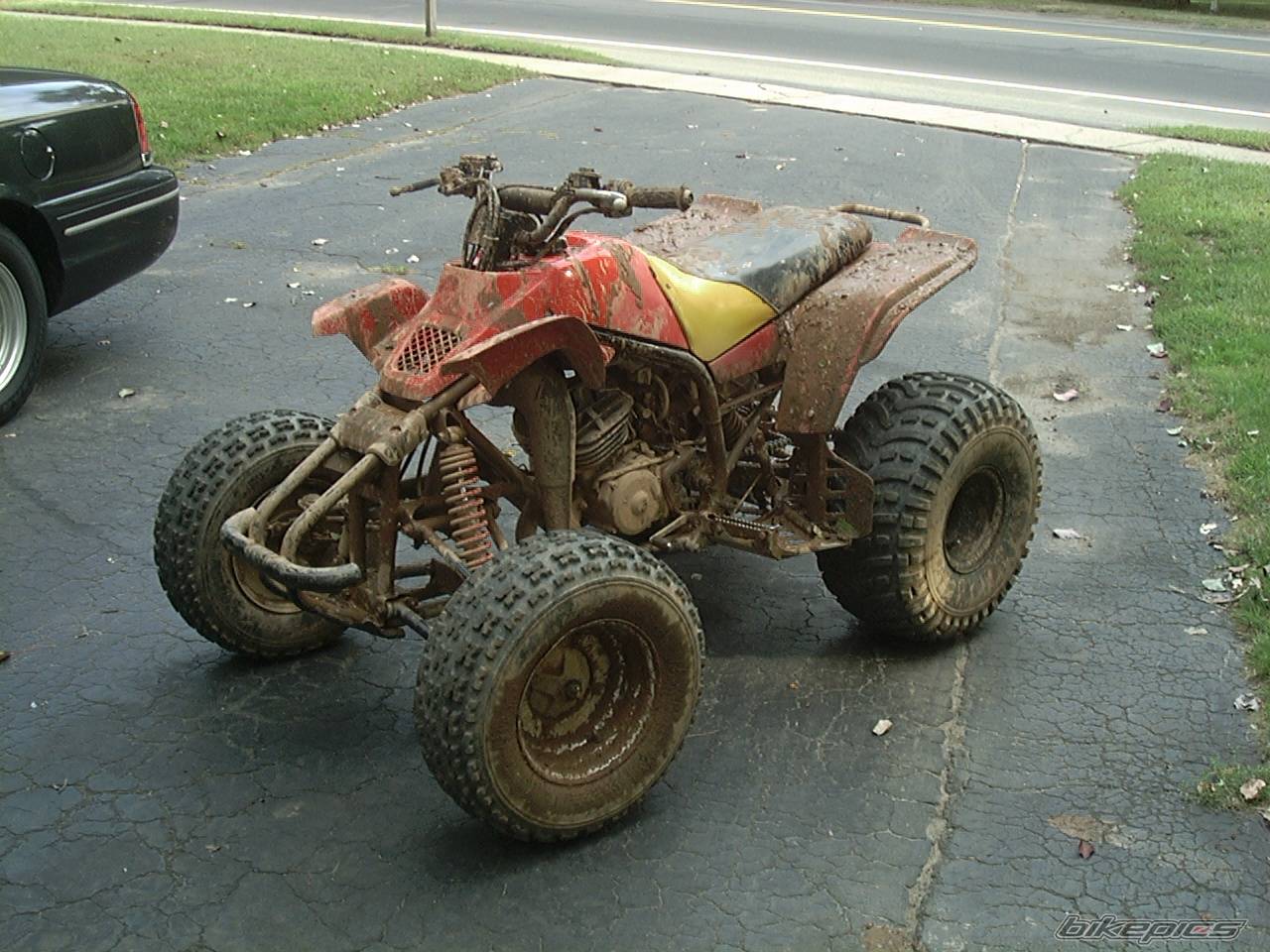Photo 218781